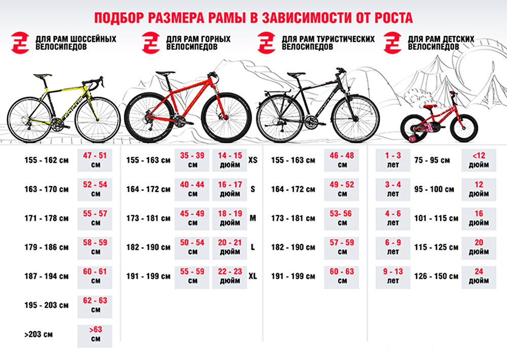 rost velo