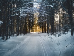 Устьянская пятёрочка